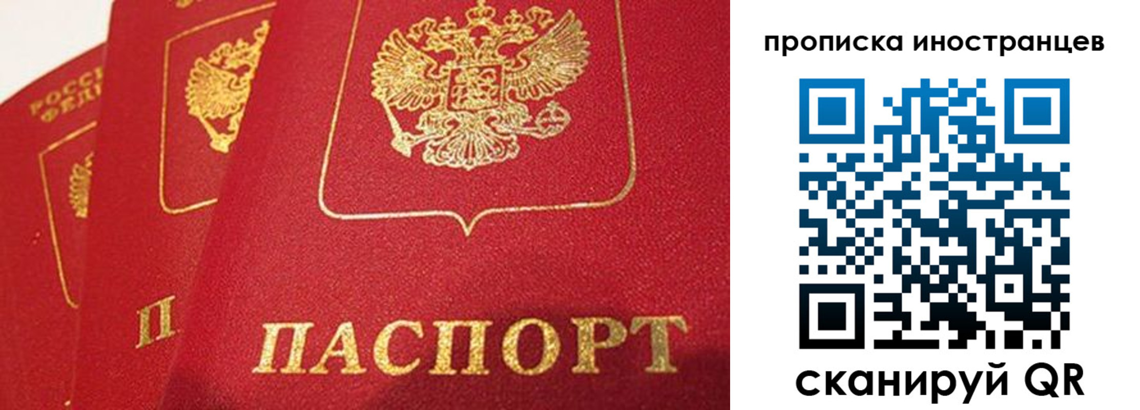 прописка поиск в Бикине